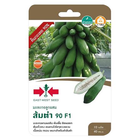 เมล็ดพันธุ์มะละกอ ส้มตำ 90 ศรแดง_0