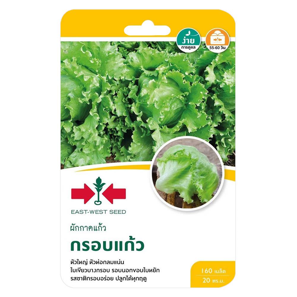 เมล็ดพันธุ์ผักกาดแก้ว กรอบแก้ว ศรแดง