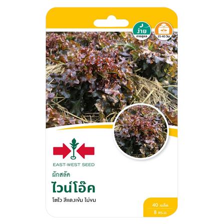 เมล็ดพันธุ์ผักสลัด ไวน์โอ๊ค ศรแดง