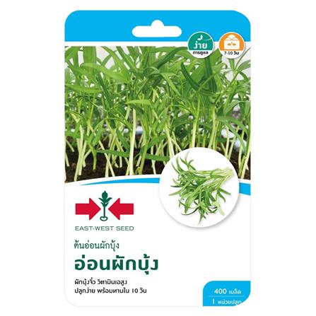 เมล็ดพันธุ์ต้นอ่อนผักบุ้ง ศรแดง_0