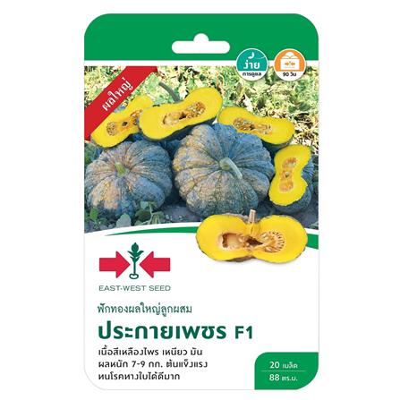 เมล็ดพันธุ์ฟักทอง F1 ประกายเพชร ศรแดง_0