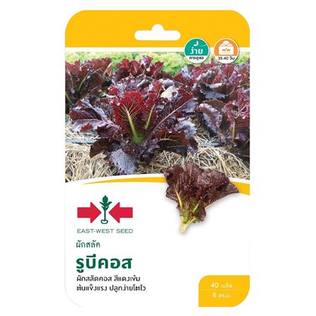 เมล็ดพันธุ์ผักสลัดรูบีคคอส ศรแดง