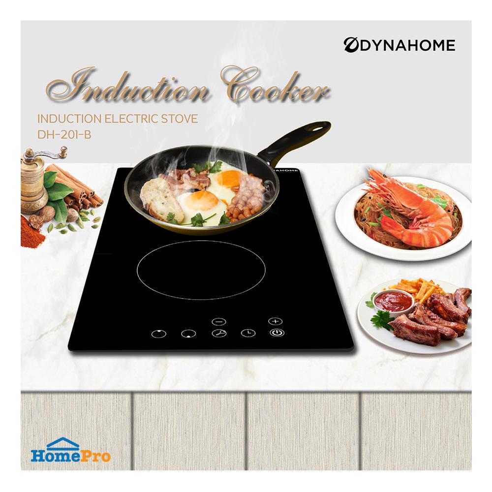 เตาฝังอินดักชั่น DYNA HOME DH-201B 30 ซม.
