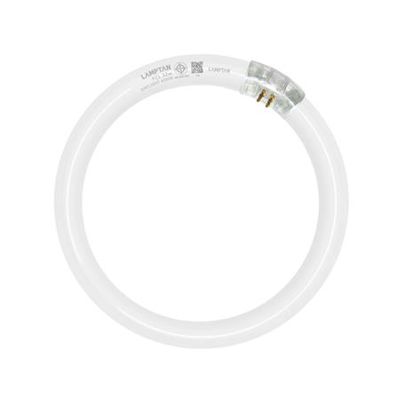 หลอดนีออนกลม LAMPTAN 32 วัตต์ DAYLIGHT G10Q