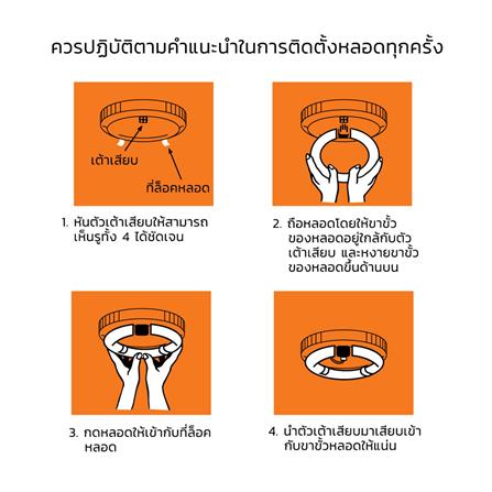 หลอดนีออนกลม LAMPTAN 32 วัตต์ DAYLIGHT G10Q_3