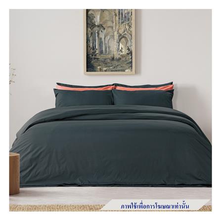 ชุดผ้าปูที่นอน 6 ฟุต 6 ชิ้น SATIN PLUS SOLID PS019