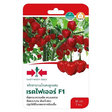 เมล็ดพันธุ์พริกฮาบาเนโรแดง เรดไฟเออร์ F1 ศรแดง_0