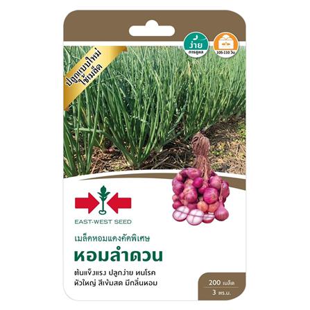 เมล็ดหอมแดง หอมลำดวน ศรแดง_0