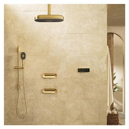 ฝักบัวก้านแข็ง เฉพาะหัว KOHLER K-26297T-2MB_1