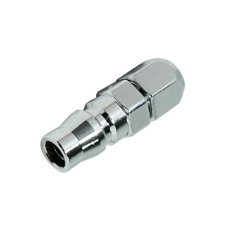 คอปเปอร์ หางสั้น ตัวผู้ HI-TOP PP20_0