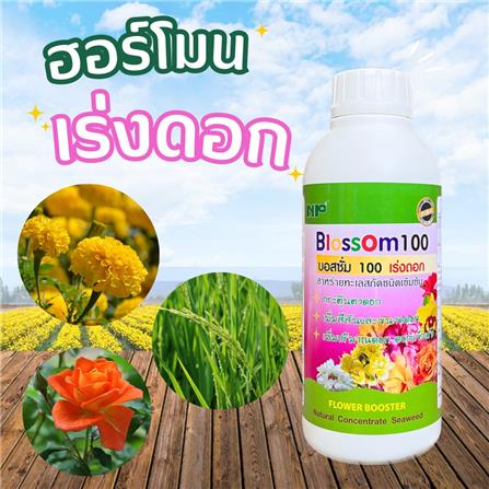 อาหารเสริมพืช เร่งดอก NP Blossom 1 ลิตร_1
