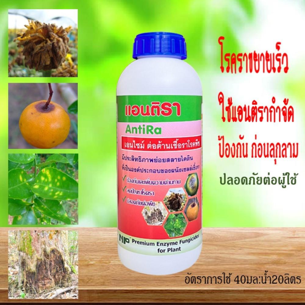 อาหารเสริมพืช ต้านเชื้อรา NP 1 ลิตร