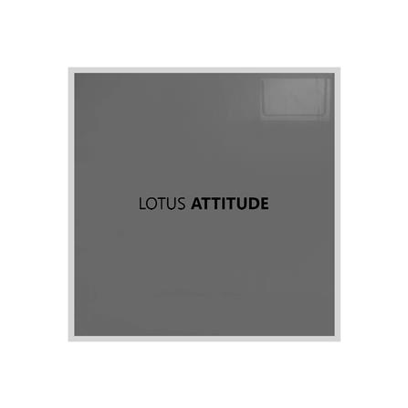 ชุดผ้าปูที่นอน 6 ฟุต 5 ชิ้น LOTUS ATTITUDE NORDEN สี GRA_4