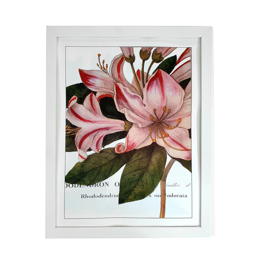 กรอบรูป PTS FLOWER 2 14X18 นิ้ว สีขาว