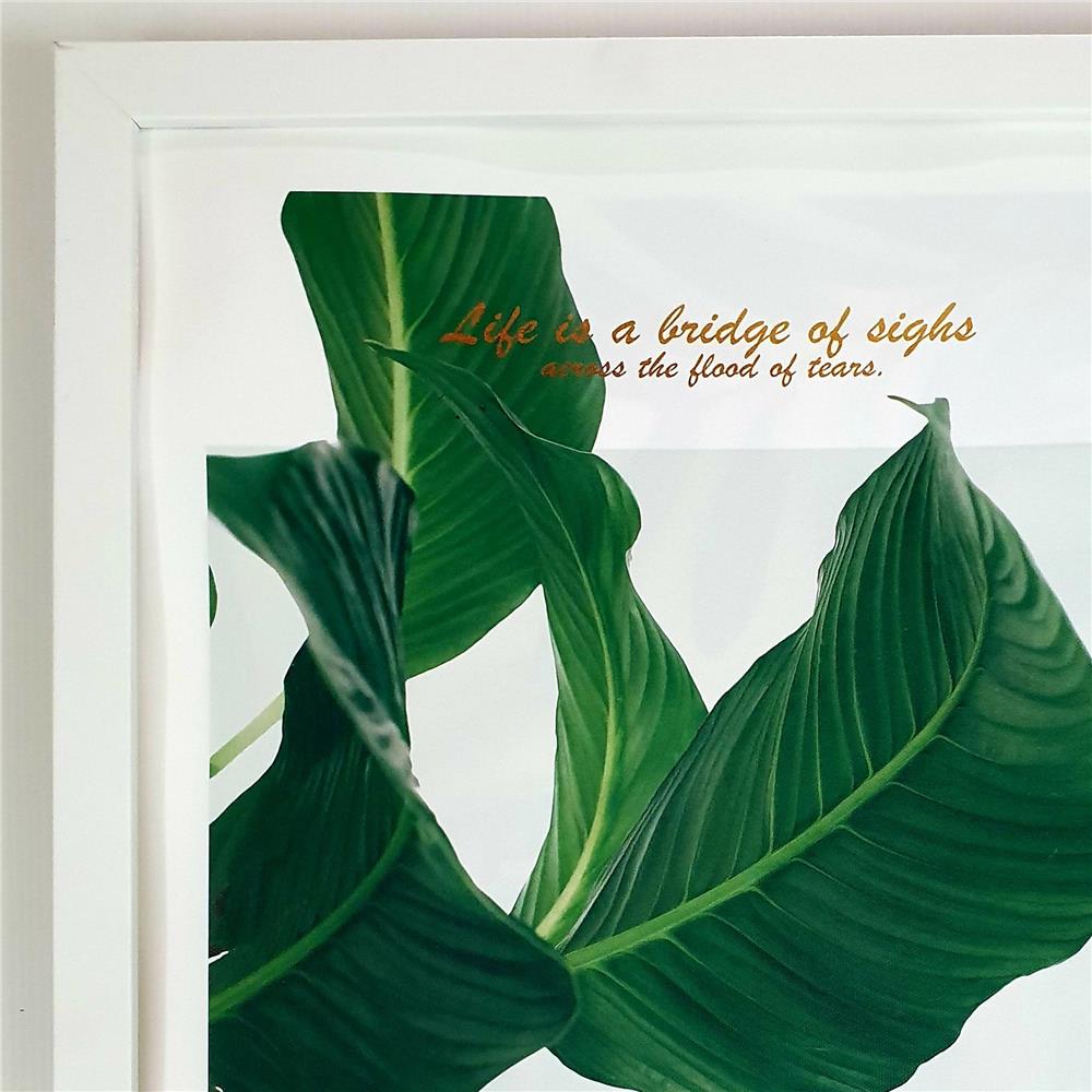 กรอบรูป PTS LEAVES 4 14X18 นิ้ว สีขาว