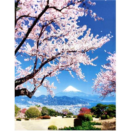 มู่ลี่ PVC ME LIVING FUJI 80X200 ซม._1