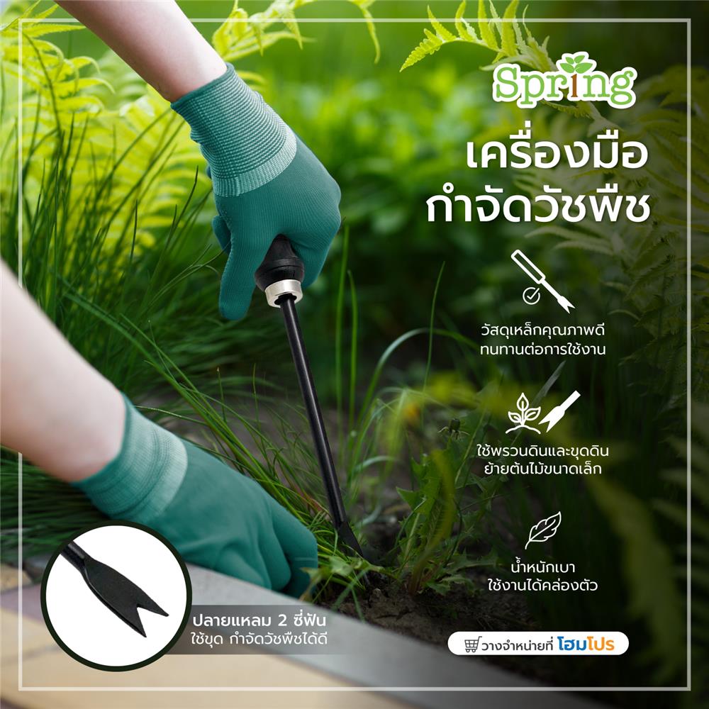 เครื่องมือกำจัดวัชพืช SPRING สีดำ