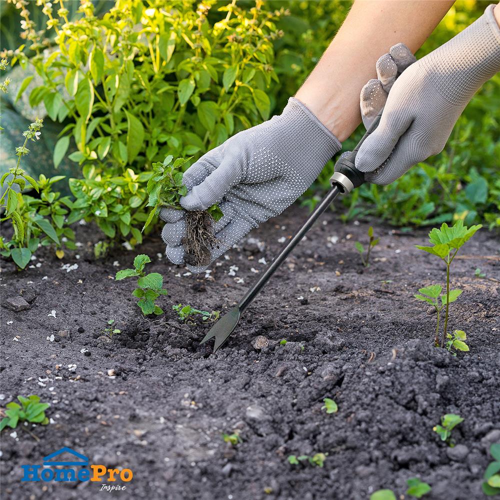 เครื่องมือกำจัดวัชพืช SPRING สีดำ