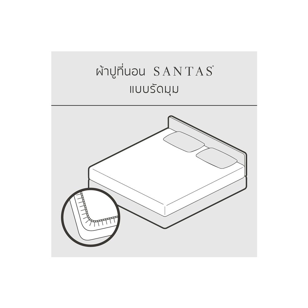 ชุดผ้าปูที่นอน 5 ฟุต 6 ชิ้น SANTAS FELINE BL