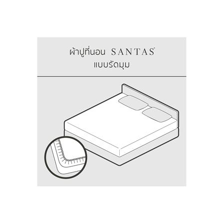 ชุดผ้าปูที่นอน 5 ฟุต 6 ชิ้น SANTAS FELINE BL_4