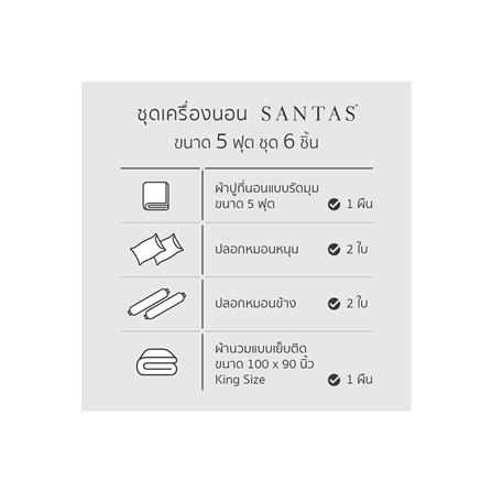 ชุดผ้าปูที่นอน 5 ฟุต 6 ชิ้น SANTAS FELINE BL_6
