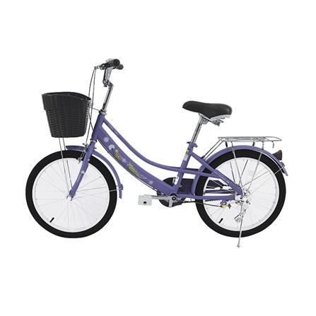 จักรยานแม่บ้าน QITONG TN22A07 20 นิ้ว สีม่วง_1