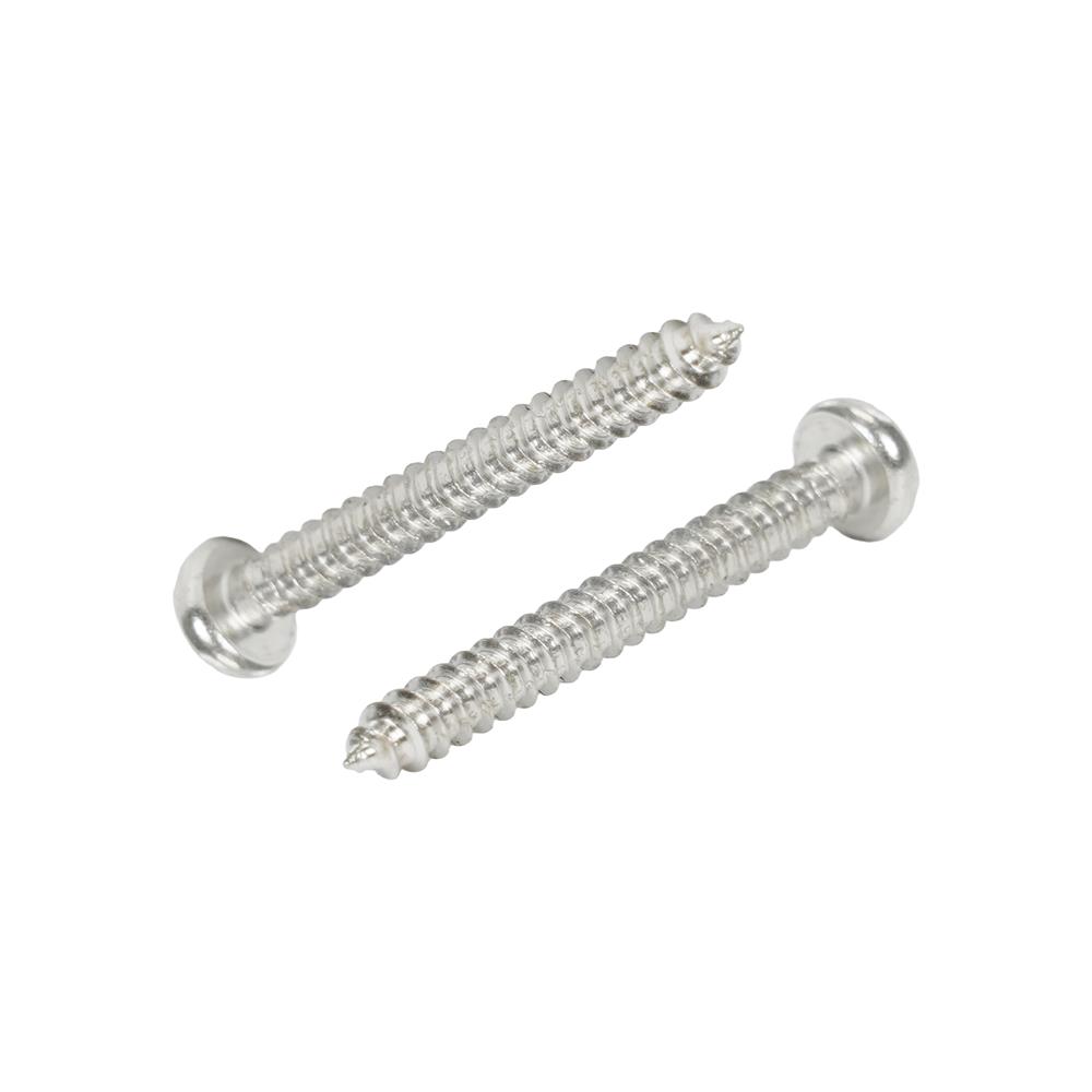 สกรูเกลียวปล่อย TP DEXZON 4X1 นิ้ว แพ็ก 30 ชิ้น