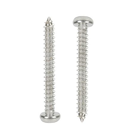 สกรูเกลียวปล่อย TP DEXZON 4X1 นิ้ว แพ็ก 30 ชิ้น_1