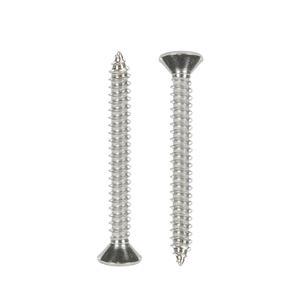 สกรูเกลียวปล่อย TF DEXZON 12X2 นิ้ว แพ็ก 15 ชิ้น