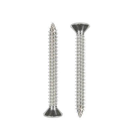 สกรูเกลียวปล่อย TF DEXZON 12X2 นิ้ว แพ็ก 15 ชิ้น_1