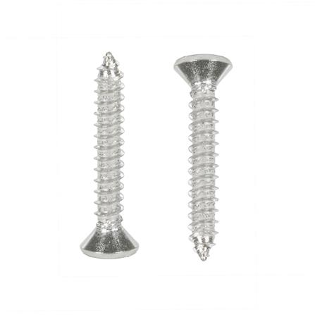 สกรูเกลียวปล่อย TF DEXZON 4X3/4 นิ้ว แพ็ก 30 ชิ้น_1