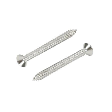 สกรูเกลียวปล่อย TF DEXZON 10X2 นิ้ว แพ็ก 15 ชิ้น_0