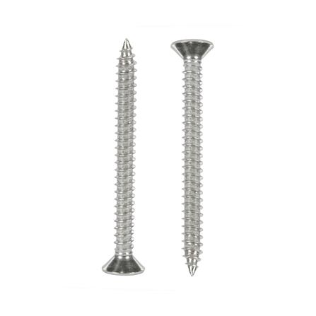 สกรูเกลียวปล่อย TF DEXZON 10X2 นิ้ว แพ็ก 15 ชิ้น_1