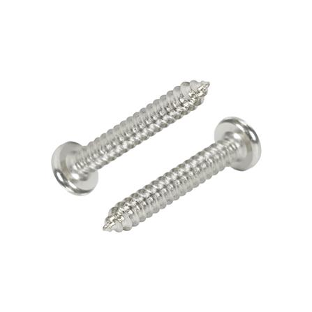 สกรูเกลียวปล่อย TP DEXZON 10X1-1/4 นิ้ว แพ็ก 30 ชิ้น_0