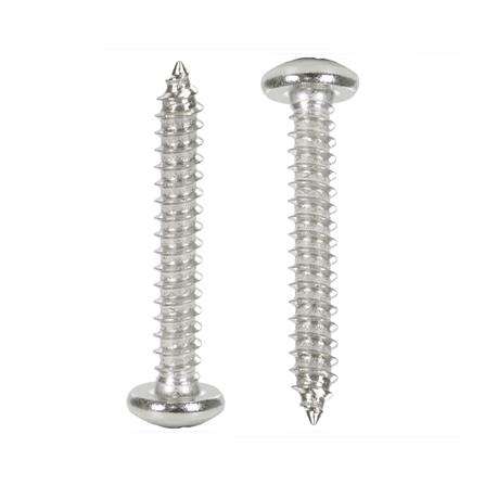 สกรูเกลียวปล่อย TP DEXZON 10X1-1/4 นิ้ว แพ็ก 30 ชิ้น_1