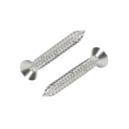 สกรูเกลียวปล่อย TF DEXZON 8X1-1/4 นิ้ว แพ็ก 15 ชิ้น_0