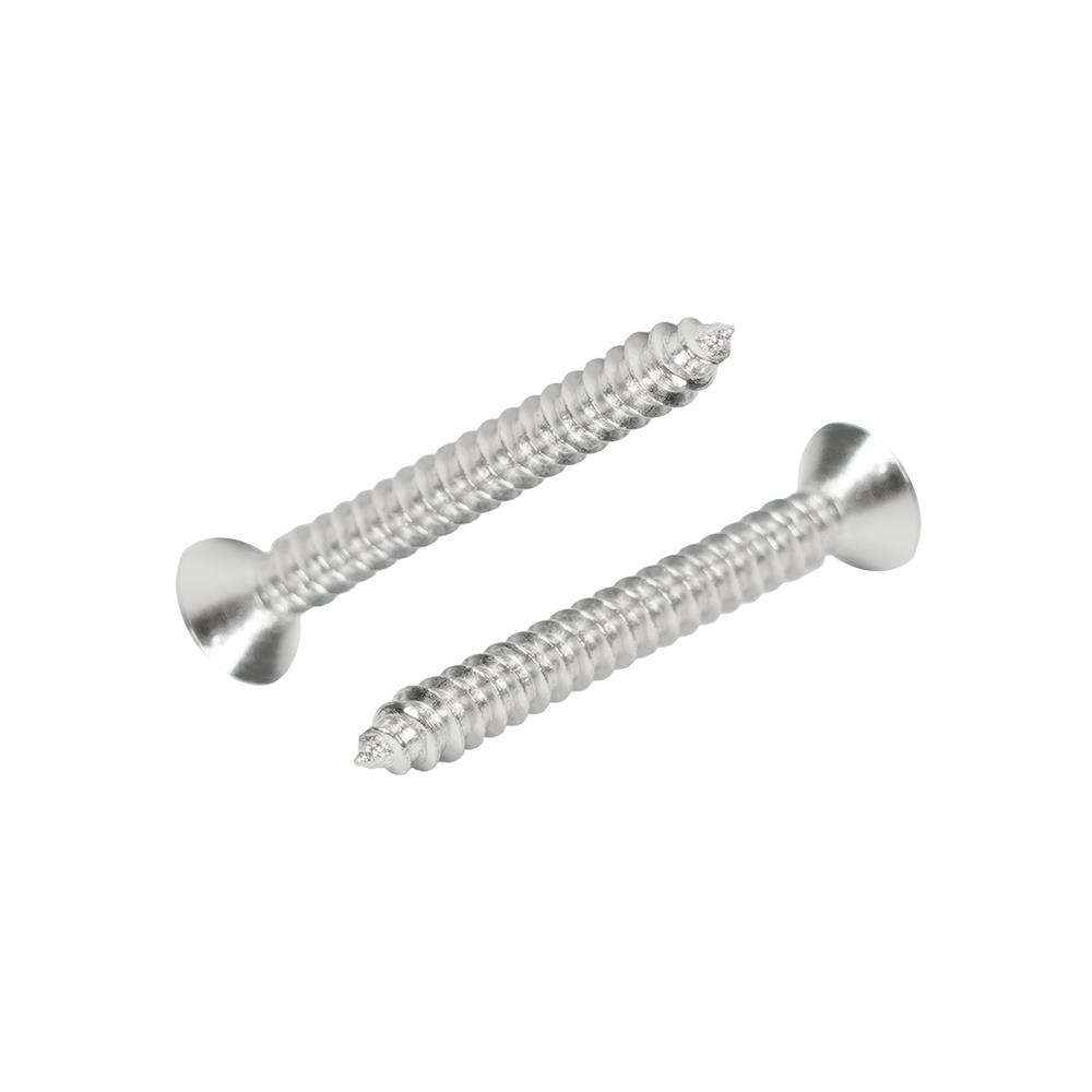 สกรูเกลียวปล่อย TF DEXZON 4X1 นิ้ว แพ็ก 30 ชิ้น