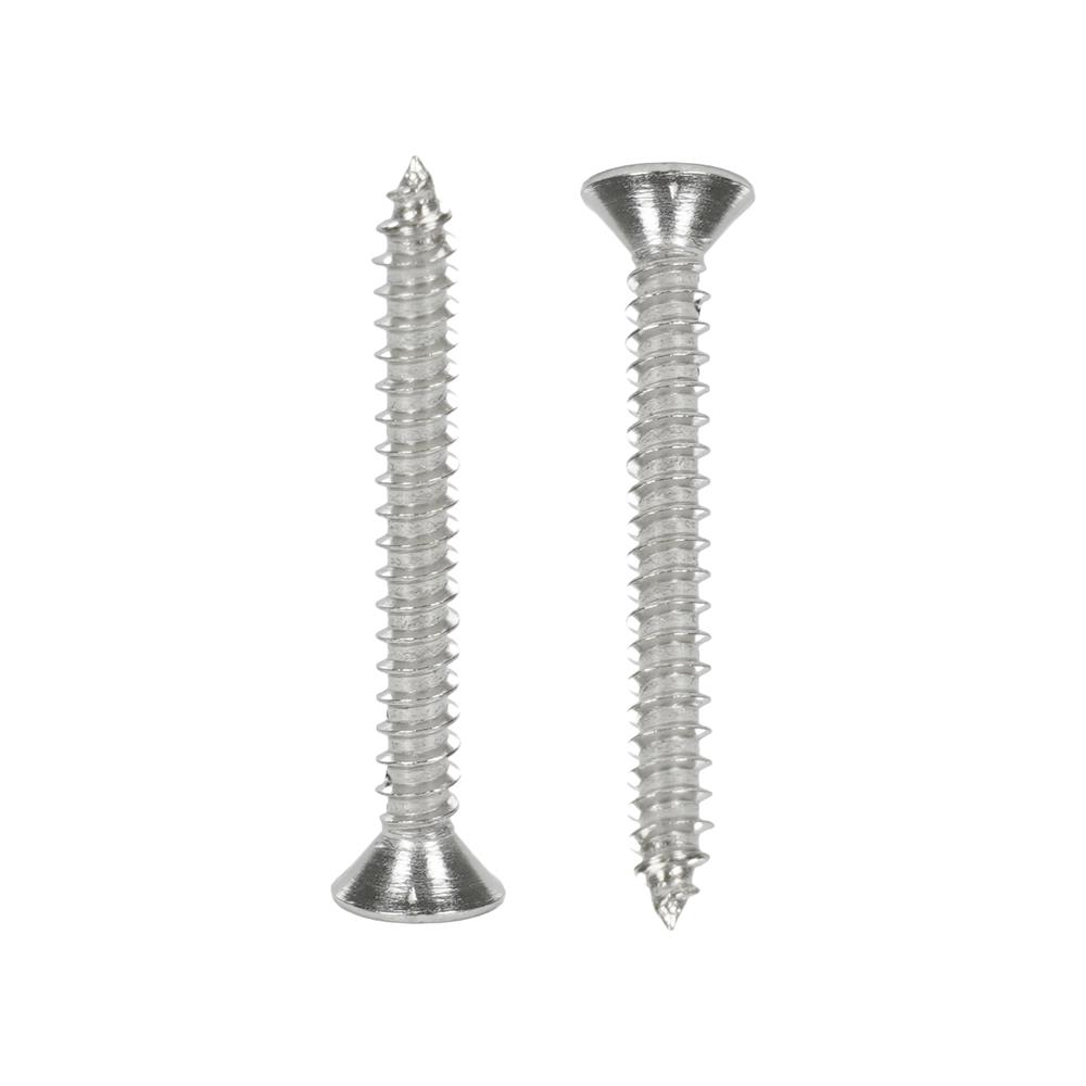 สกรูเกลียวปล่อย TF DEXZON 4X1 นิ้ว แพ็ก 30 ชิ้น