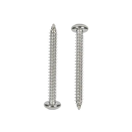 สกรูเกลียวปล่อย TP DEXZON 8x1-1/2 นิ้ว 30 ชิ้น_1