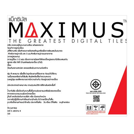 กระเบื้องพื้นพอร์ซเลน 60x90 ซม. MAxIMUS แอสโทรฟิล ดำ A 1.08 ตร.ม._4