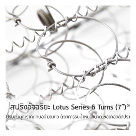 ที่นอน 5 ฟุต LOTUS REBECA พร้อมหมอนหนุน 2 ชิ้น_9