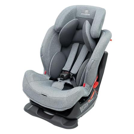 cate-Car Seat