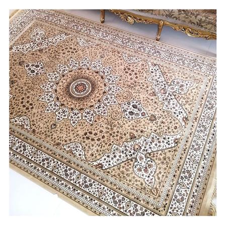 พรม ANNAS CLASSIC TY003-G 195X290 ซม. สีน้ำตาล_3