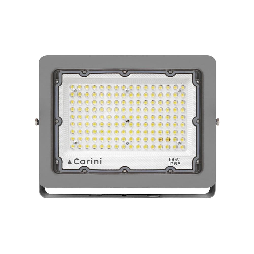 สปอตไลท์ภายนอก LED CARINI NYSP100W 100 วัตต์ DAYLIGHT