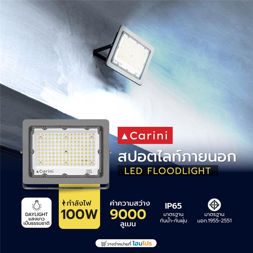 สปอตไลท์ภายนอก LED CARINI NYSP100W 100 วัตต์ DAYLIGHT