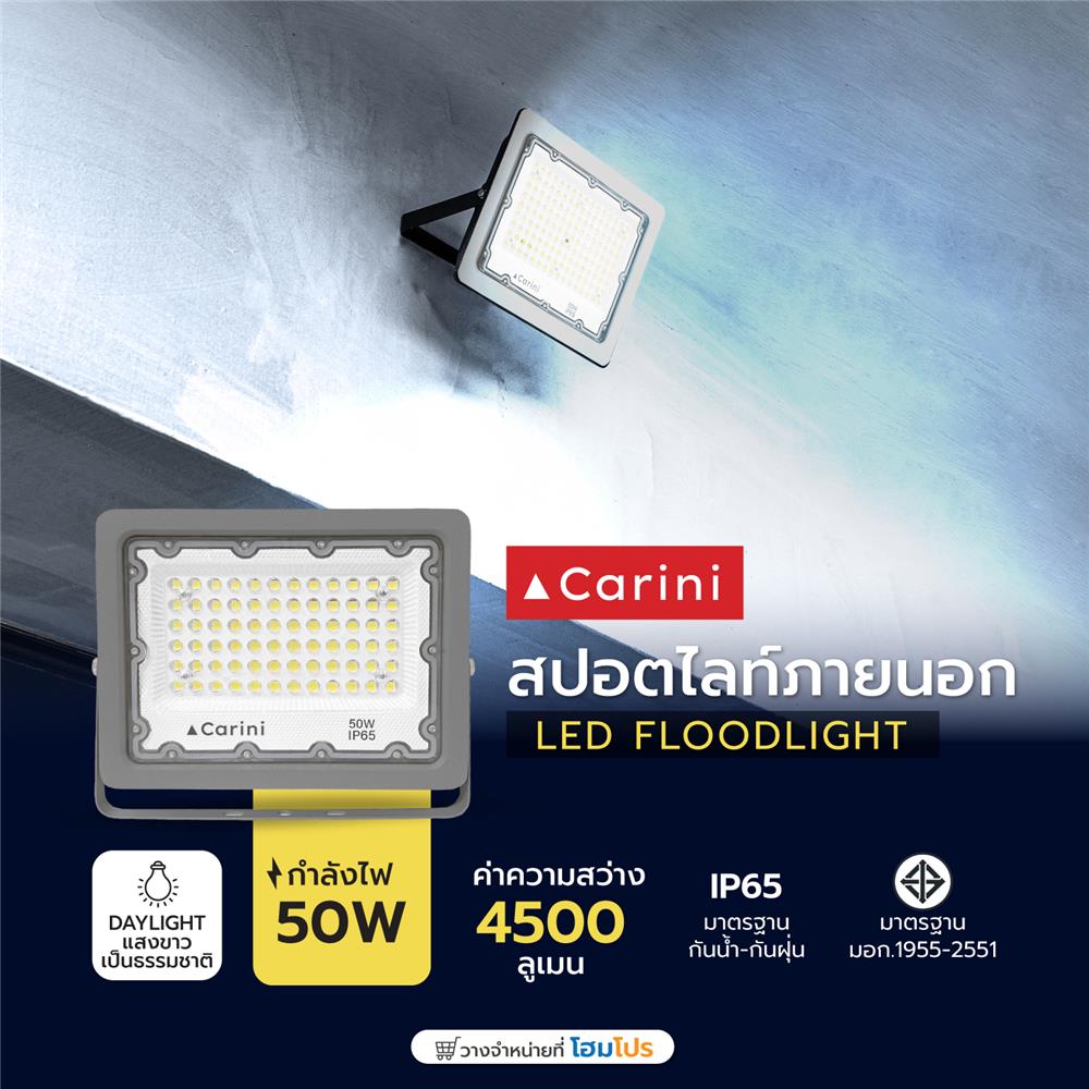 สปอตไลท์ภายนอก LED CARINI NYSP50W 50 วัตต์ DAYLIGHT