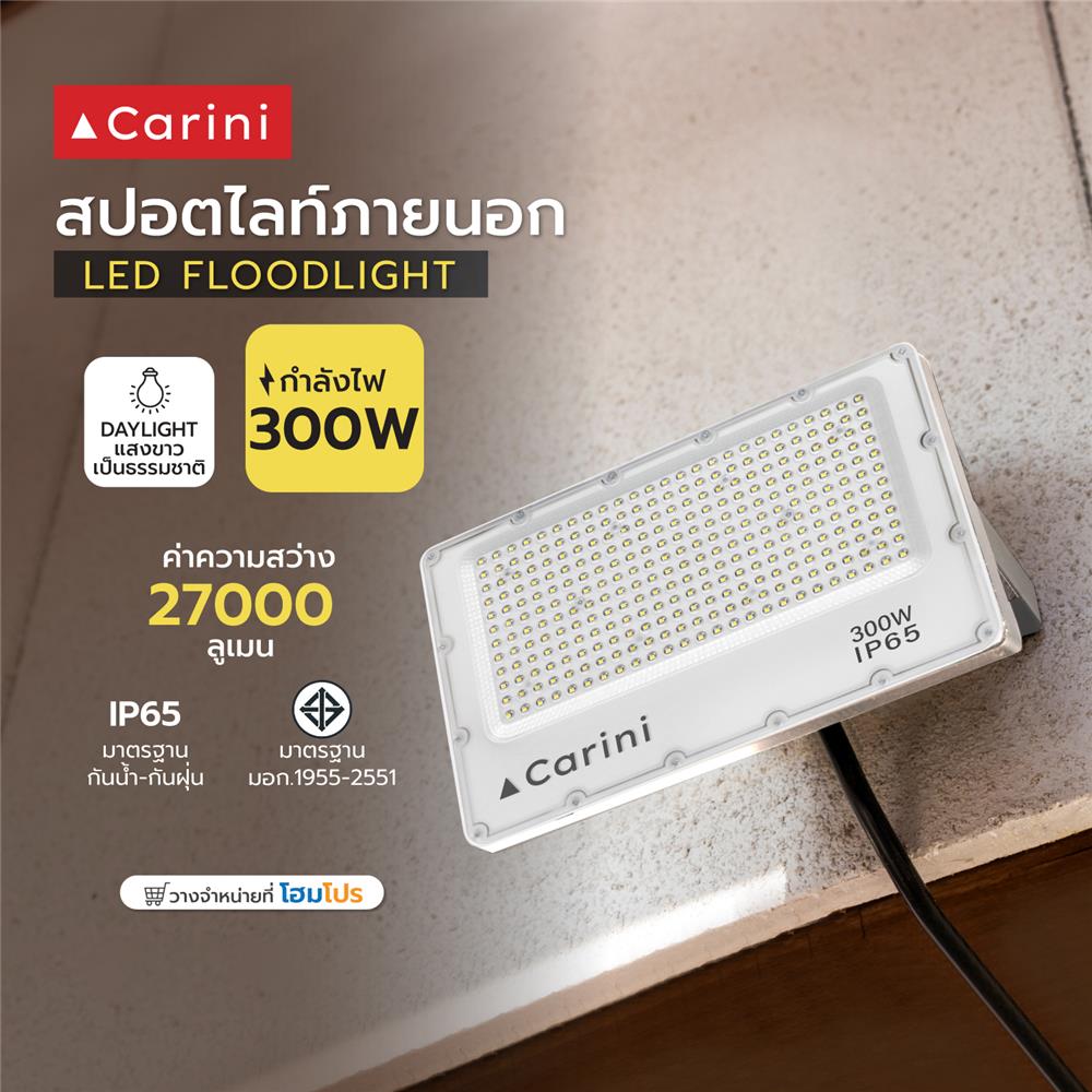 สปอตไลท์ภายนอก LED CARINI NYSP300W 300 วัตต์ DAYLIGHT