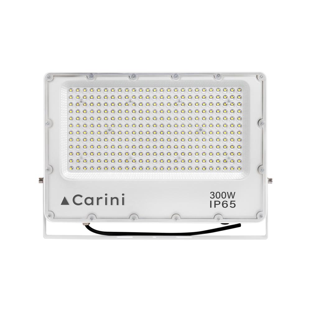 สปอตไลท์ภายนอก LED CARINI NYSP300W 300 วัตต์ DAYLIGHT