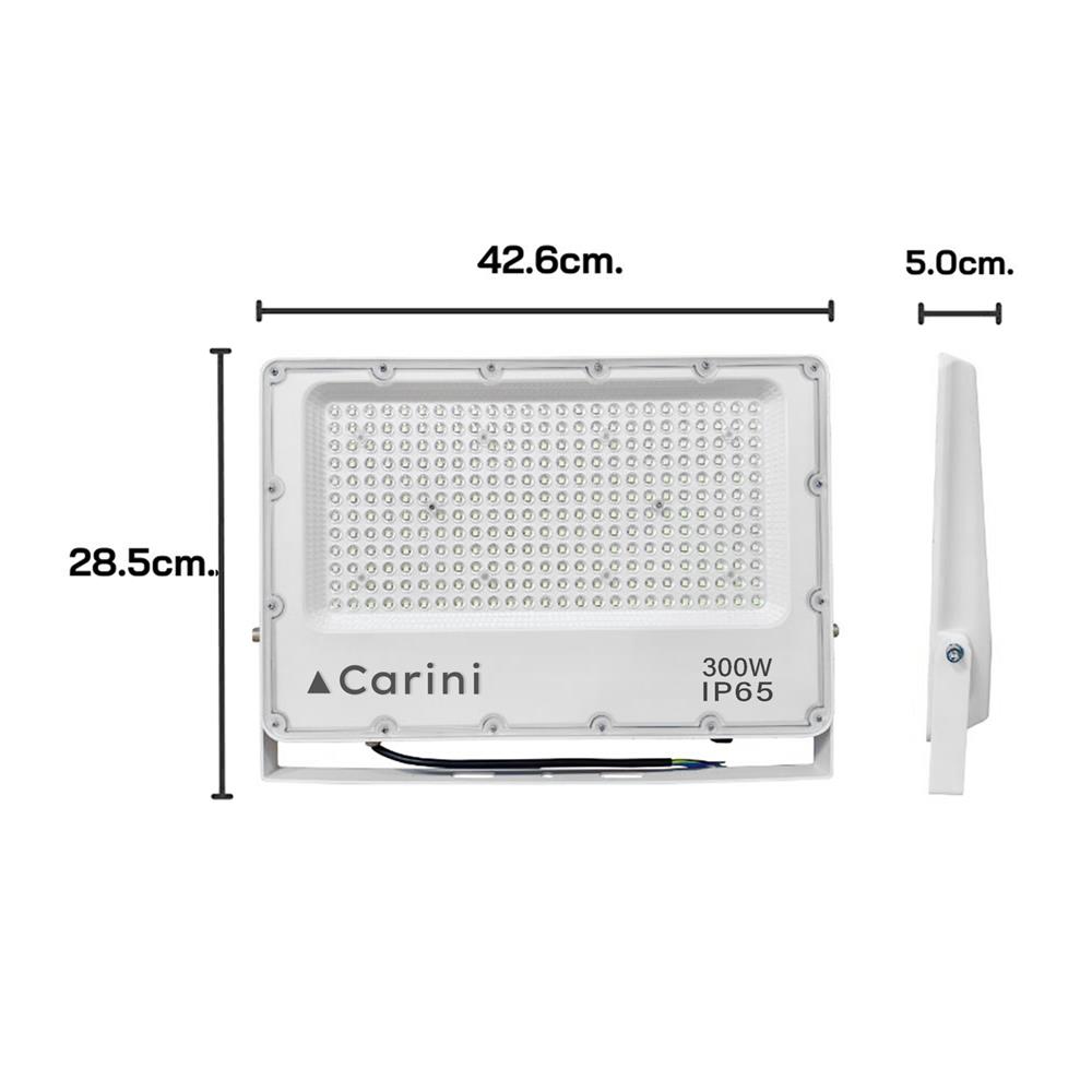 สปอตไลท์ภายนอก LED CARINI NYSP300W 300 วัตต์ DAYLIGHT