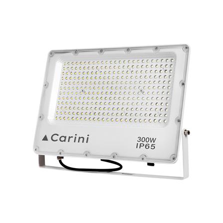 สปอตไลท์ภายนอก LED CARINI NYSP300W 300 วัตต์ DAYLIGHT_0